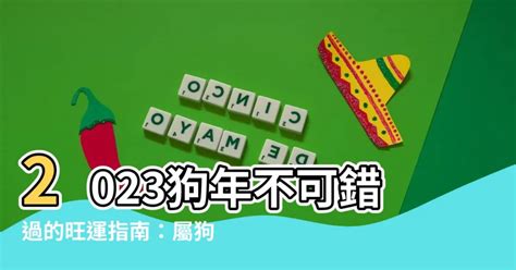 2023屬狗幸運物|十二生肖「幸運數字、幸運顏色、大吉方位」！跟著做。